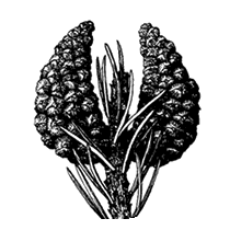 wintercabinbooks-logo-BWcircle